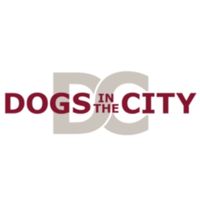 Dogs in the City