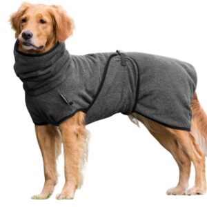 Actionfactory Dryup anthrazit