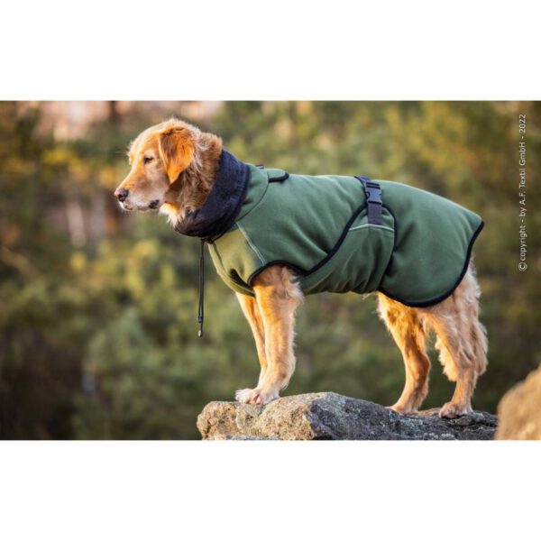 Actionfactory Warmup Cape Pro Pine Green