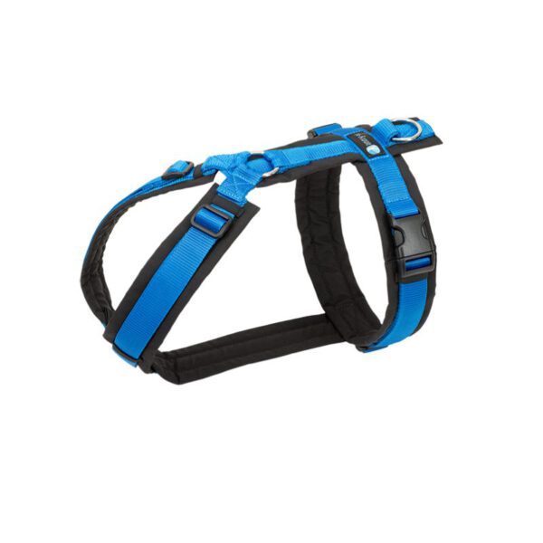Annyx Brustgeschirr FUN Schwarz_Blau