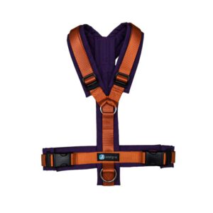 Annyx Geschirr Fun pflaume