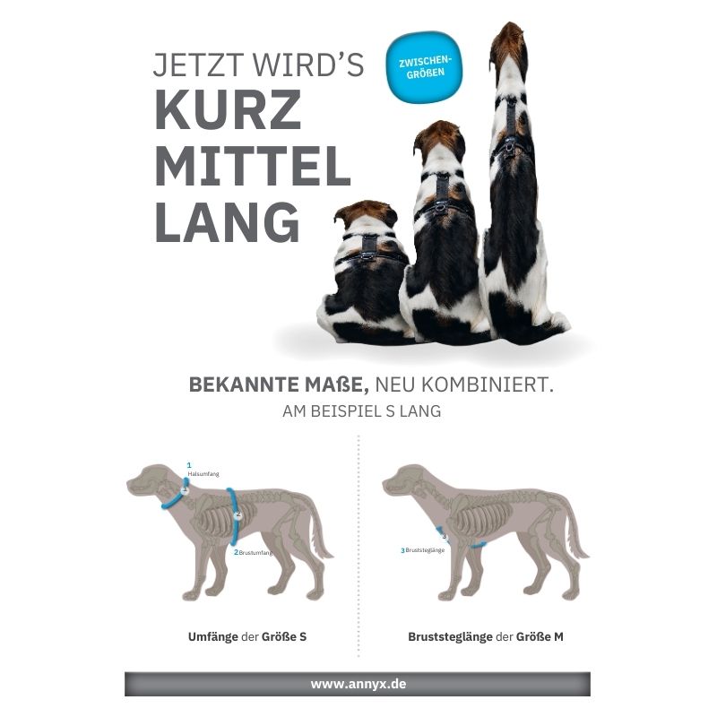 Annyx Geschirr Zwischengrößen