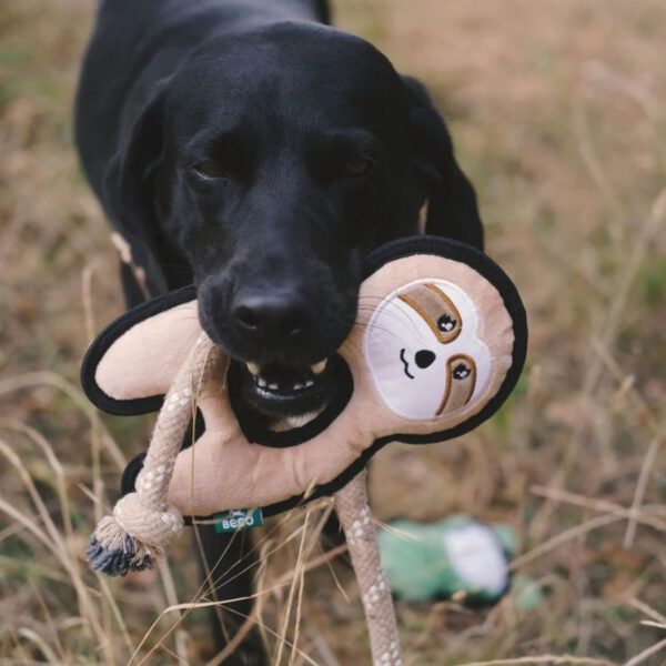 Beco Faultier mit Hund