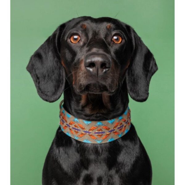 Buddys Etna Halsband