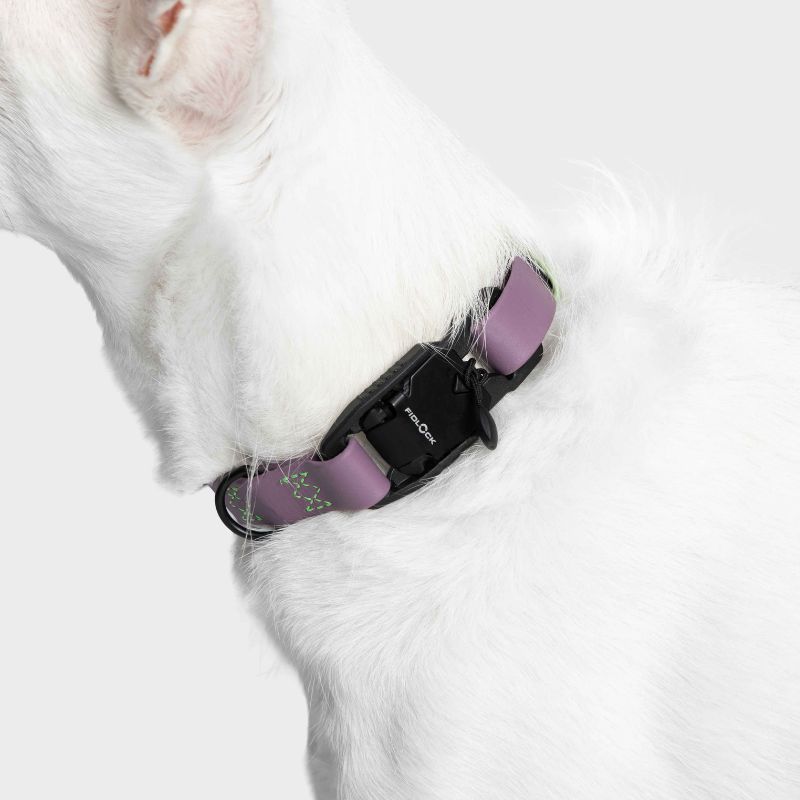 Cloud7 Halsband Ipanema Hund