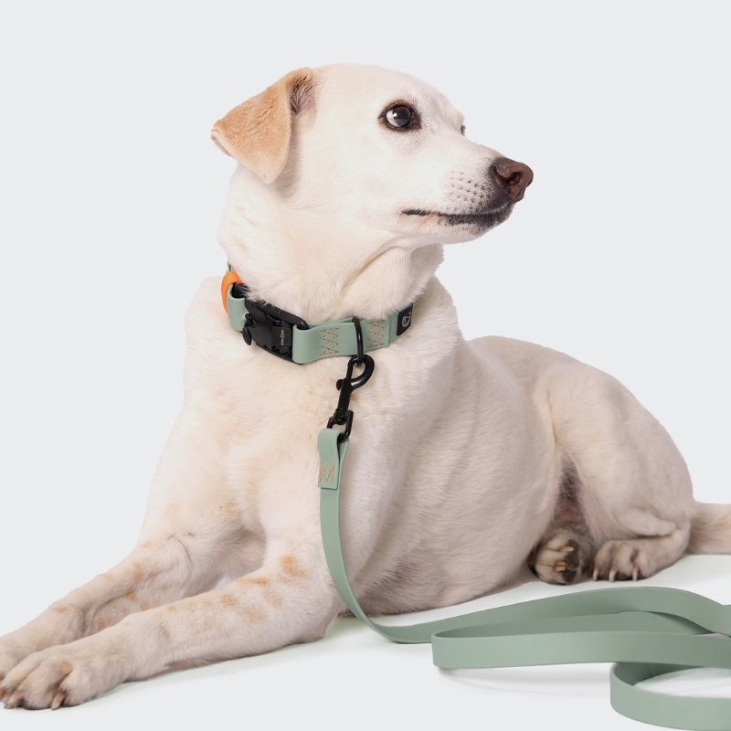 Cloud7 Halsband Ipanema Mint Hund