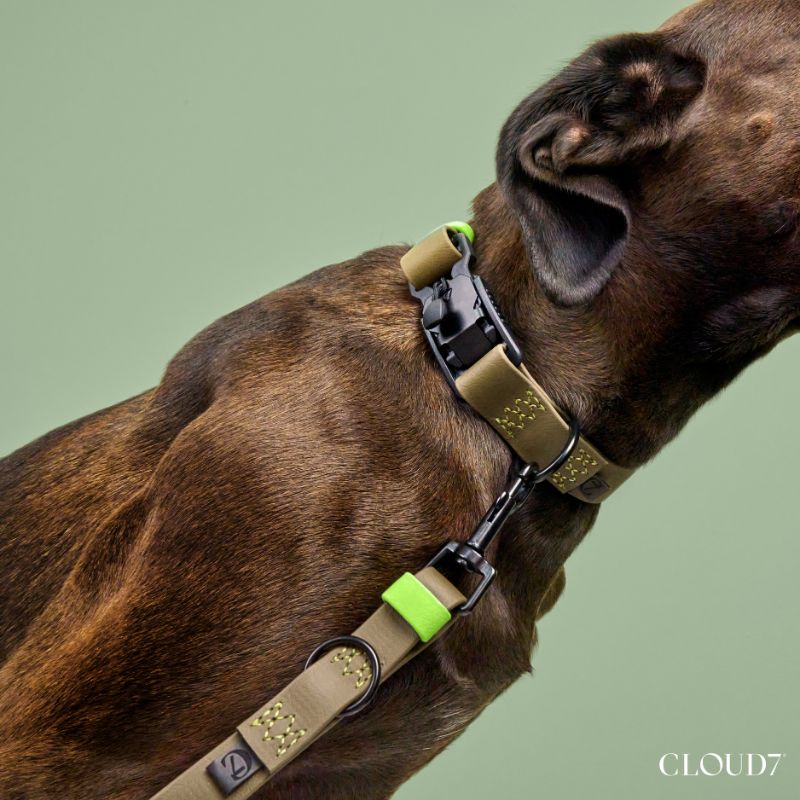 Cloud7 Halsband Ipanema Olive Hund