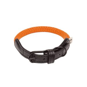 Cloud7 Halsband Mauerpark Orange