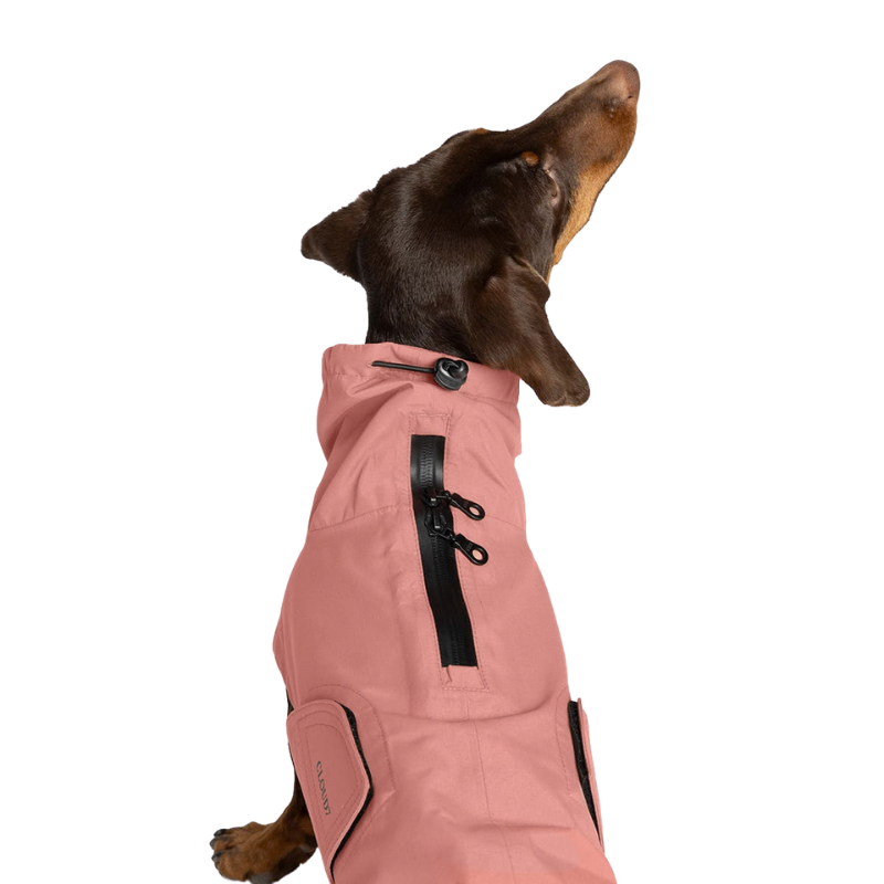 Cloud7 Regenjacke Dackel Dublin 2.0 Faded Rose