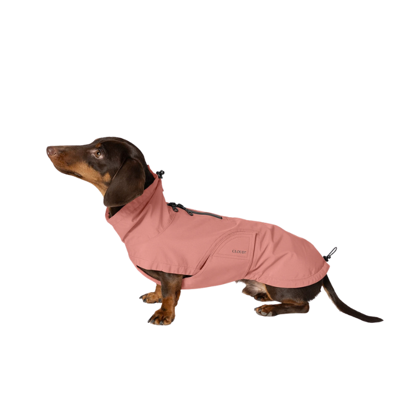 Cloud7 Regenjacke Dackel Dublin 2.0 Faded Rose