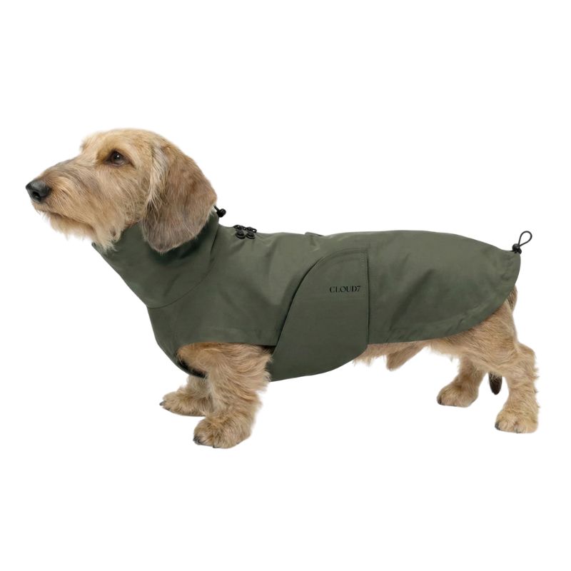 Cloud7 Regenjacke Dackel Dublin 2.0 Oliv