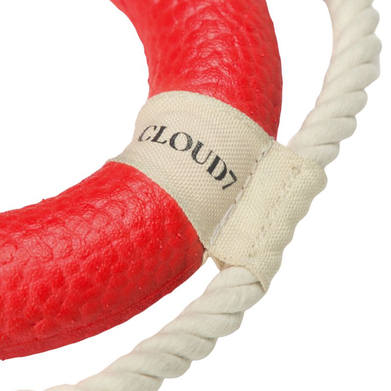 Cloud7 Rettungsring Floaty – Bild 2