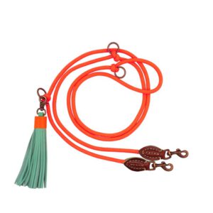 DWAM Leine Carrot
