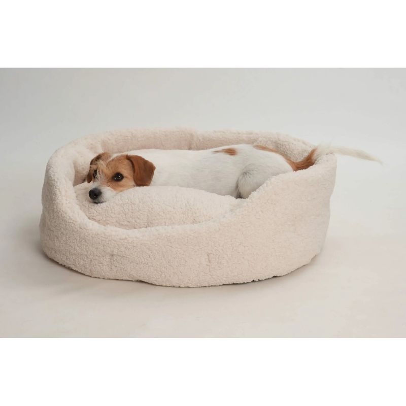 Dogs in the City Körbchen Paddy