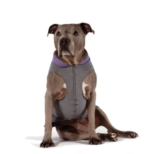 Goldpaw Double Fleece Grau/Flieder sitzend