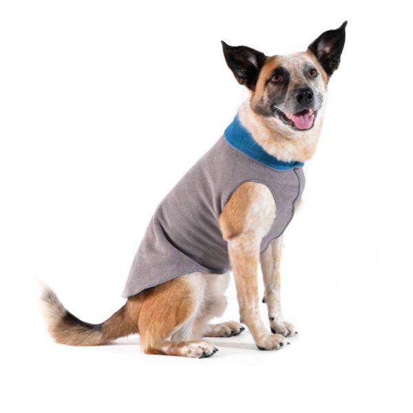 Goldpaw Double Fleece Grau/Türkis sitzend