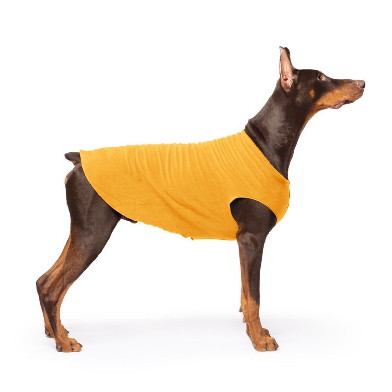 Goldpaw Orange Stretch Fleece