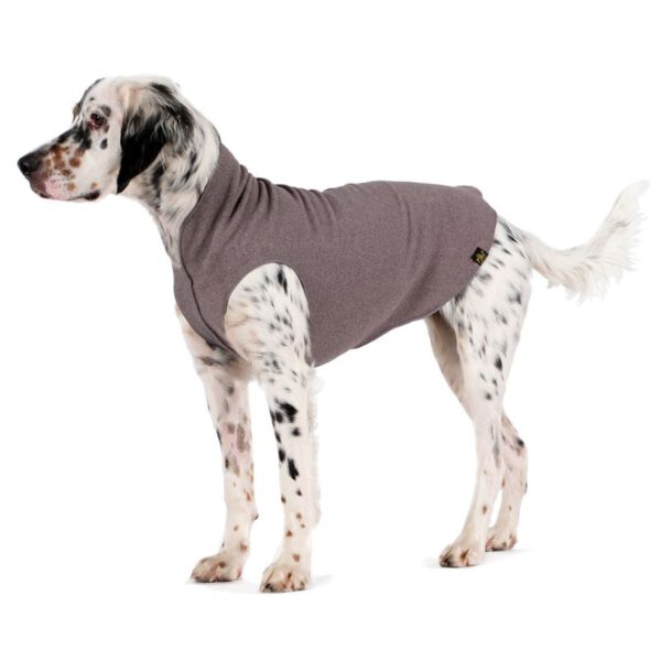 Goldpaw Stretch Fleece Grau stehend