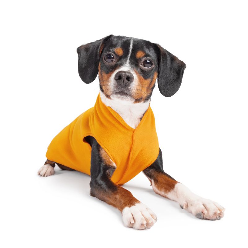 Goldpaw Stretch Fleece Orange