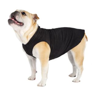 Goldpaw Stretch Fleece Schwarz stehend