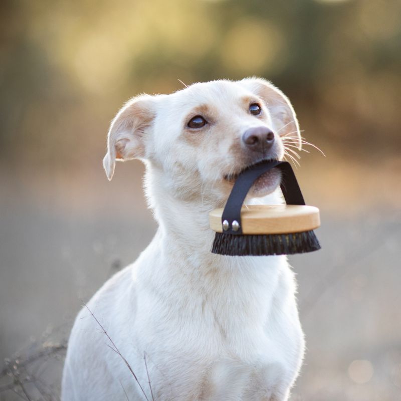 LILA LOVES IT Bürste Kurzhaar (2)