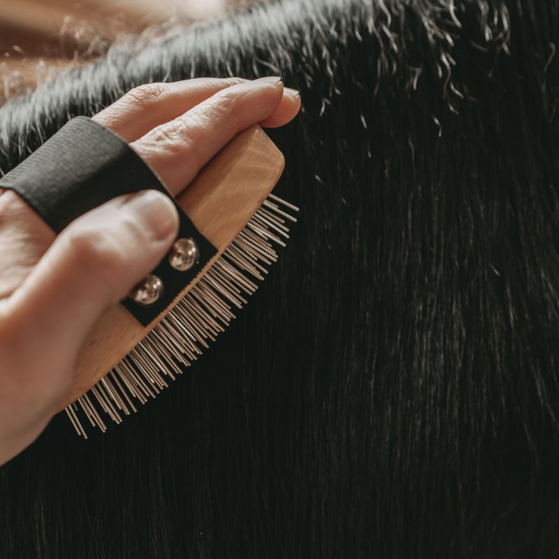 LILA LOVES IT Bürste Langhaar