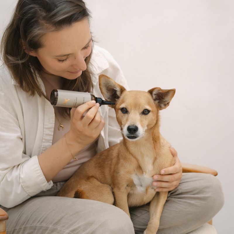 LILA LOVES IT Ohr Reiniger