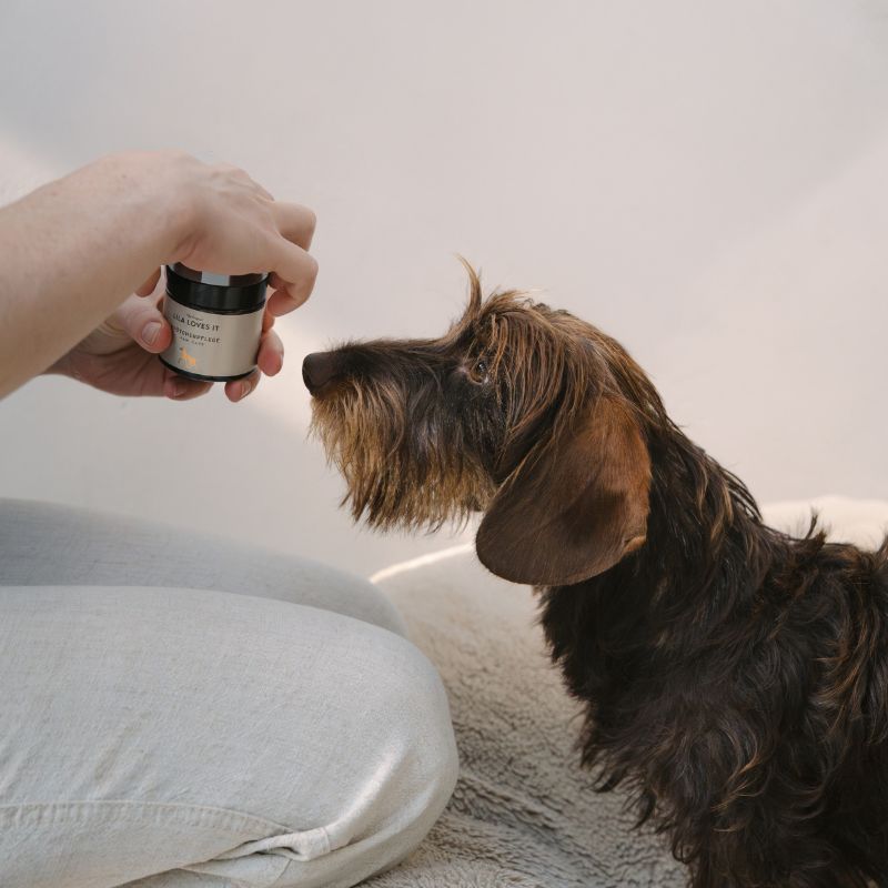 LILA LOVES IT Pfötchenpflege (2)