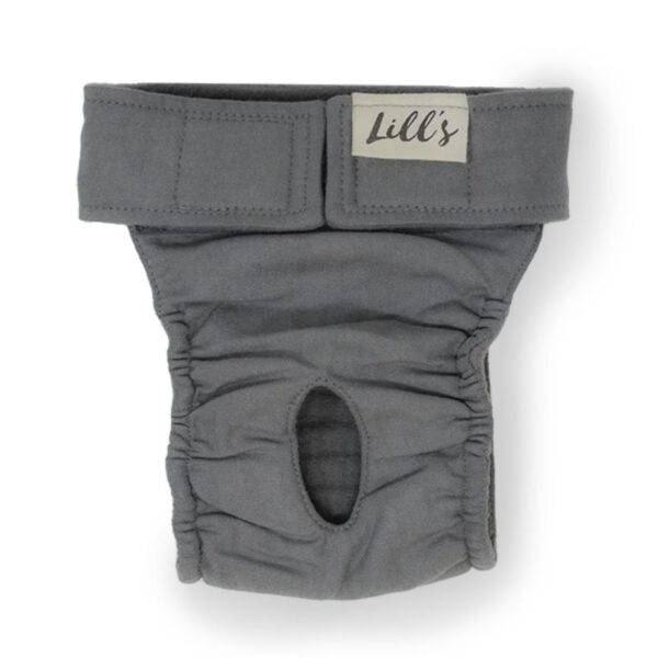 Lill's Läufigkeitshose Grau – Bild 2