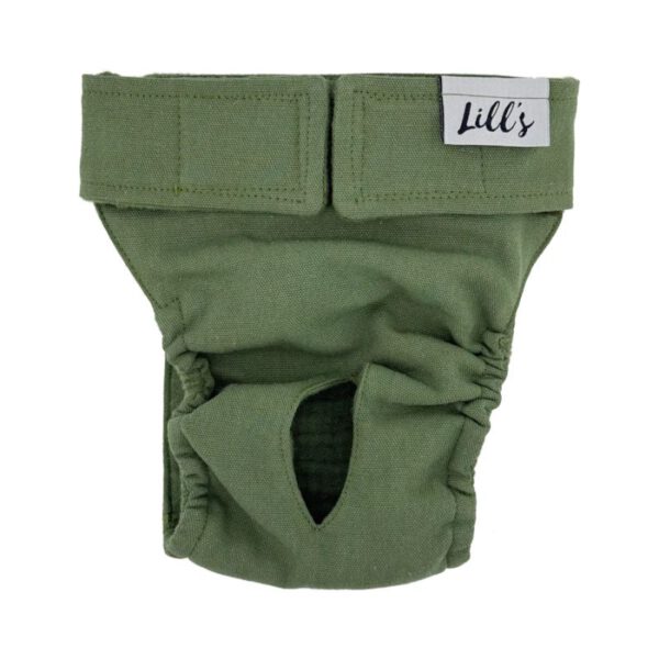 Lill's Läufigkeitshose Oliv – Bild 2