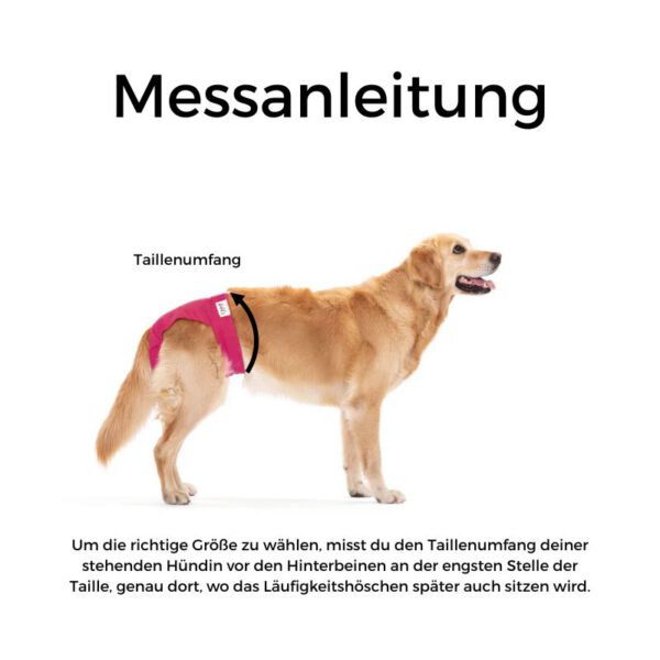 Lill's Läufigkeitshosen Messanleitung