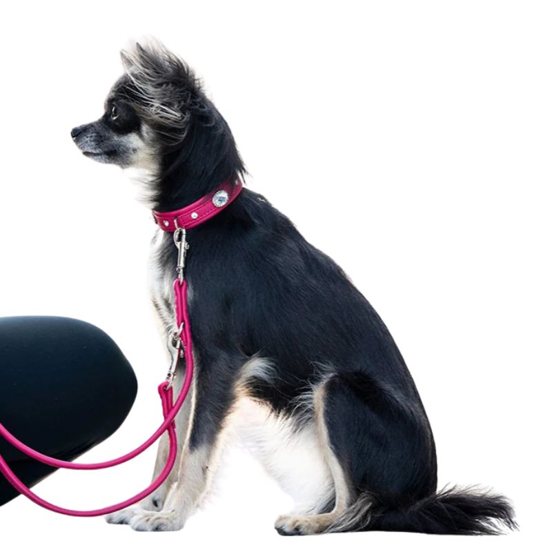 Maul Lederleine Classic Soft Lipstick 2