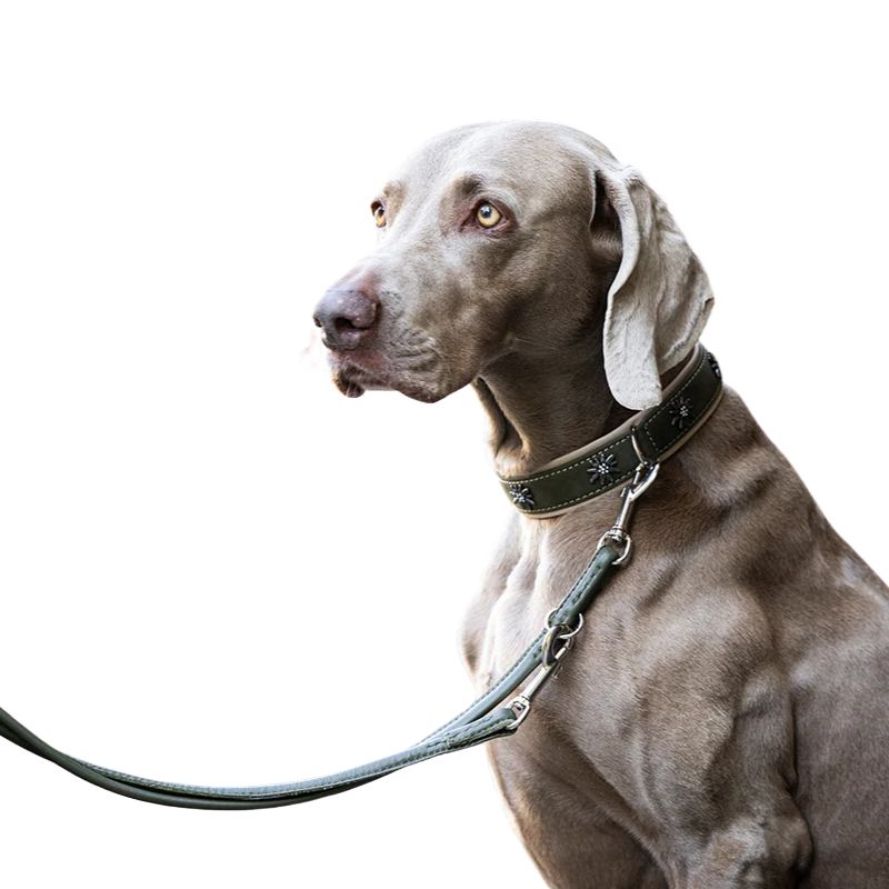 Maul Lederleine Classic Soft Rundgenäht Khaki 2