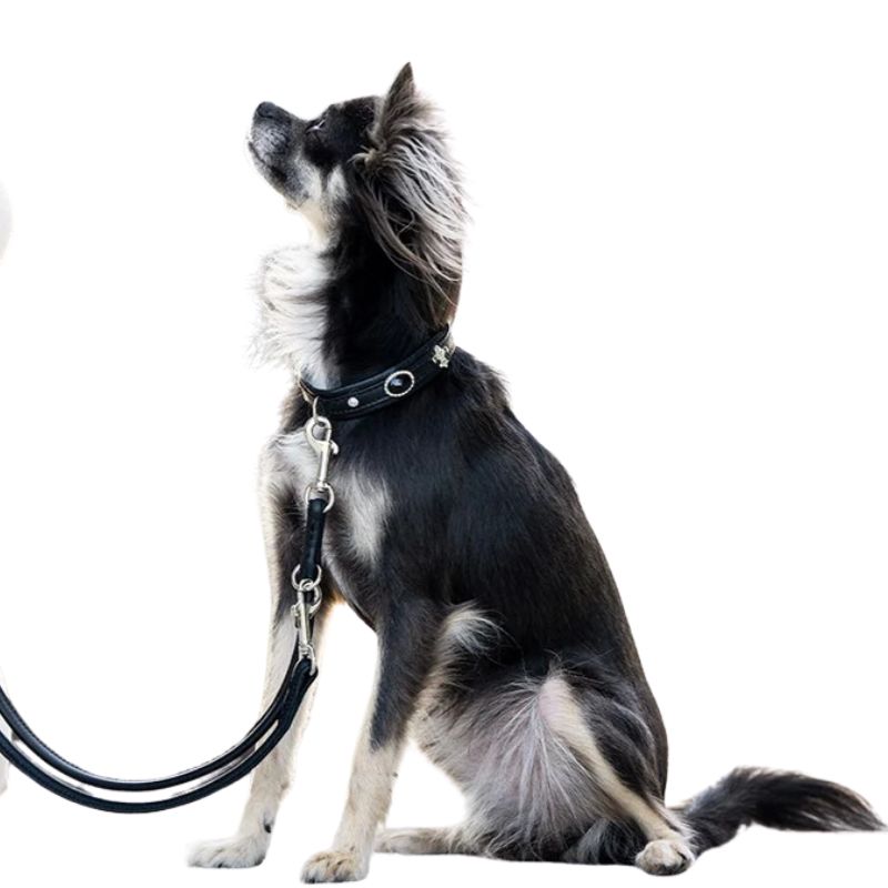 Maul Lederleine Classic Soft Rundgenäht Schwarz 2