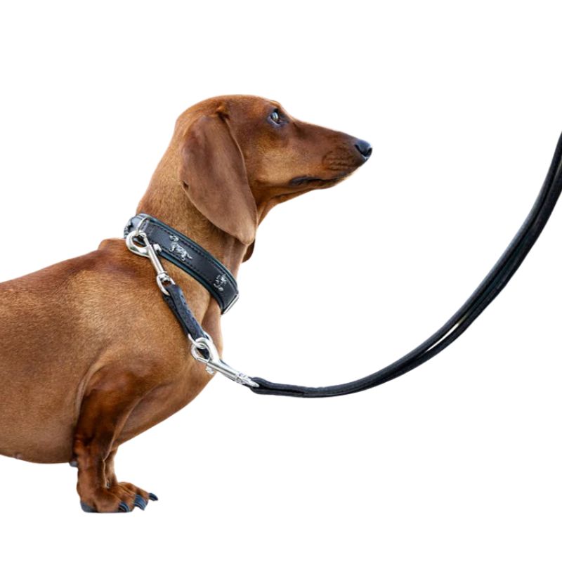 Maul Lederleine Classic Soft dunkelbraun 2