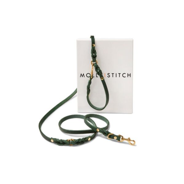 Molly & Stitch Butter 3x verstellbare Leder Hundeleine Waldgrün Verpackung Gold