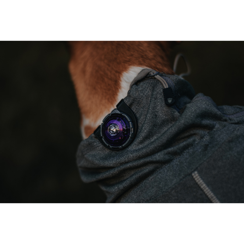 Orbiloc Clip – Bild 2