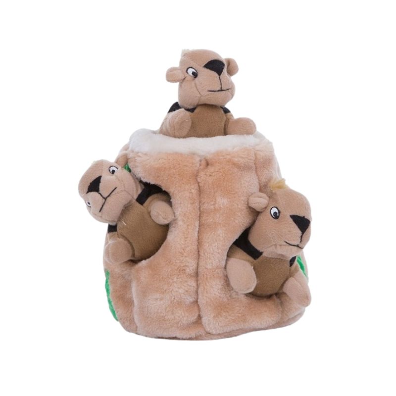 OutwardHound Eichhörnchen