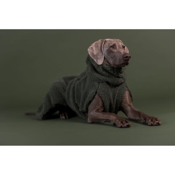 PAIKKA Sherpa Oliv Hund