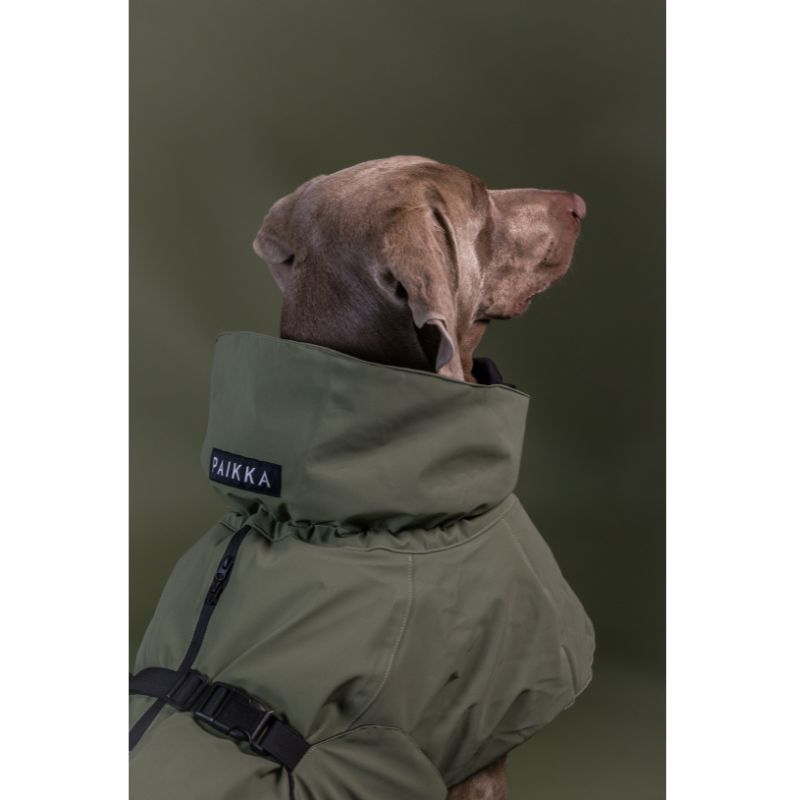 PAIKKA Winterjacke Hund Grün (2)