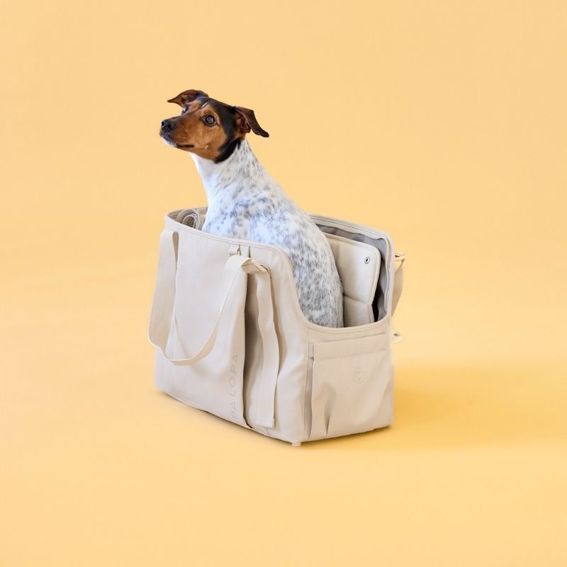 PALOPA Hundetasche Weda creme