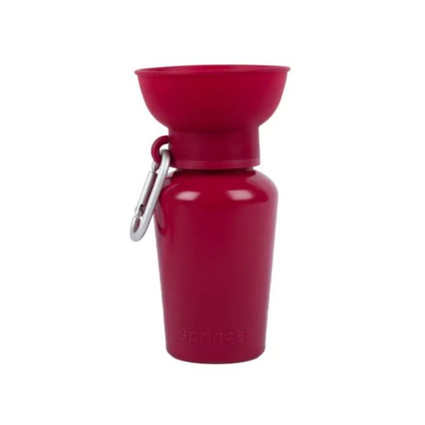 Springer Pets Flasche Beere