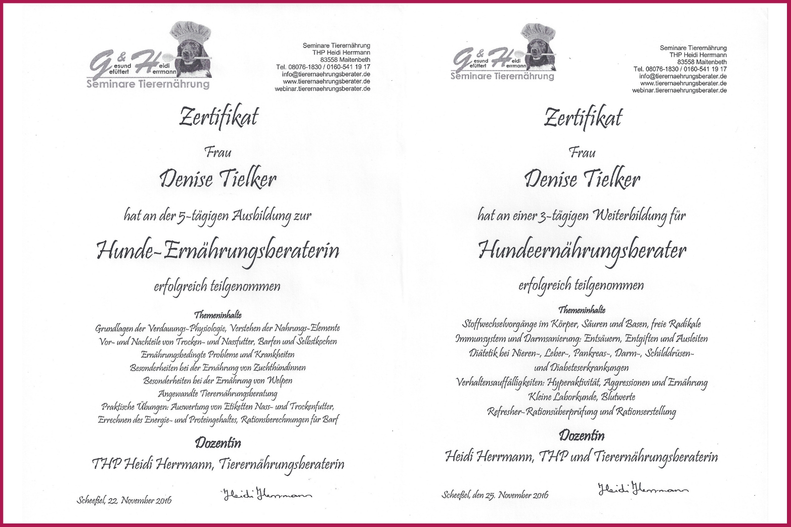 Brauchte Bitte Hilfe Bei Den Blutwerten Gesunde Hunde Forum