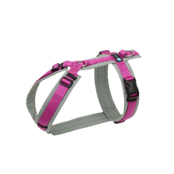 annyx Fun Grau/Pink